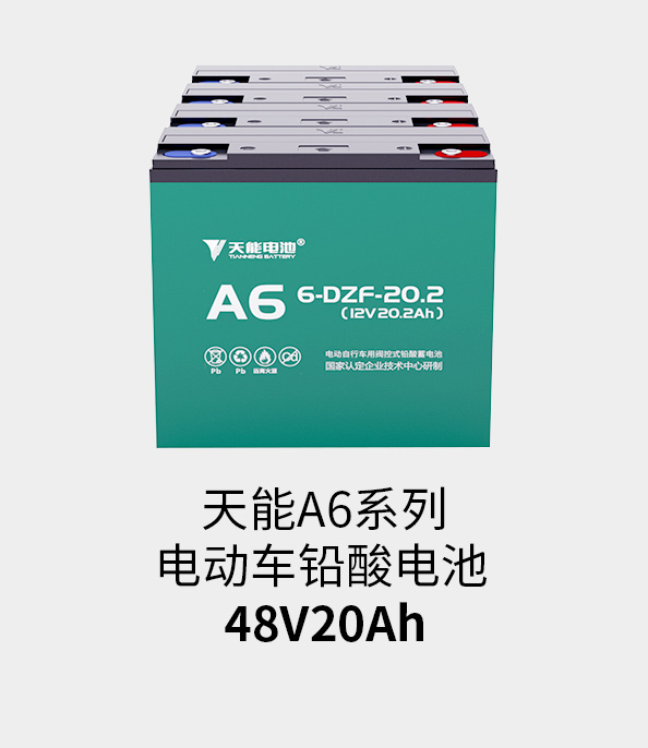 尊龙凯时-人生就是搏电池48v20ah